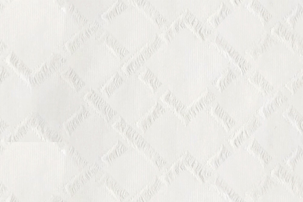 S009-01