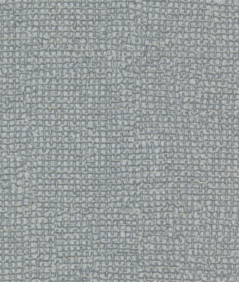 G8816-06