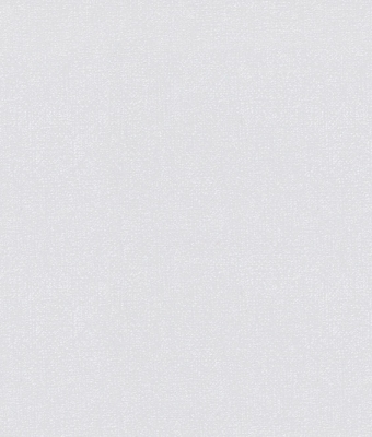 H1001-05