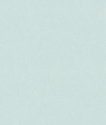 H1001-07