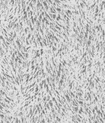 G8821-03