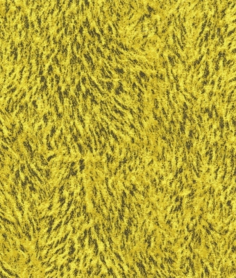 G8821-07