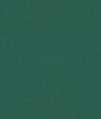 H1004-11