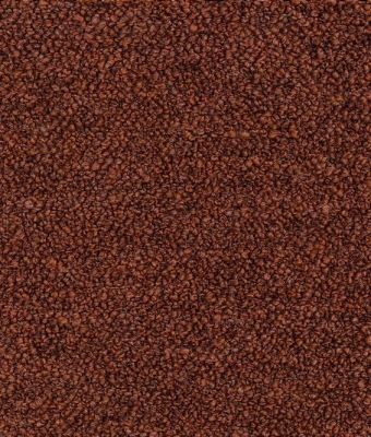 VW-24979-06