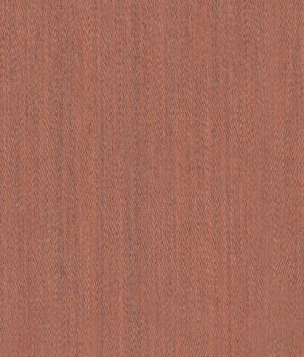 AW5601-15
