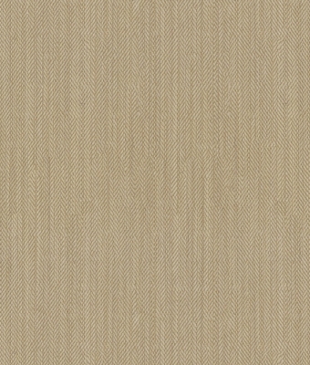 AW5602-02