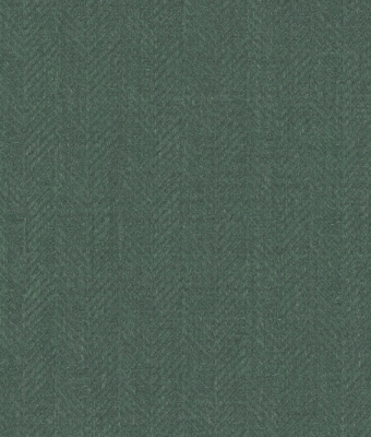 AW5604-07