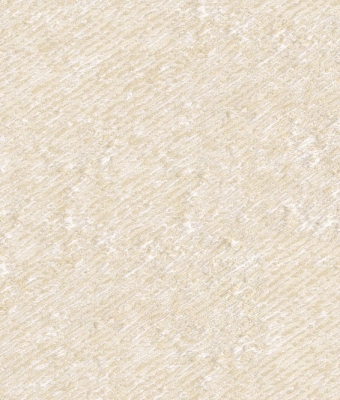 W6829-02